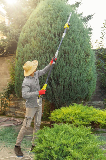 Lawn Drainage Solutions in Willow Springs, IL